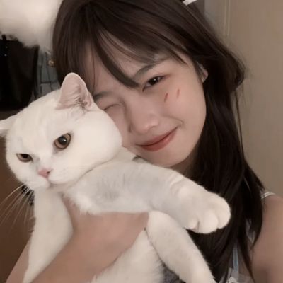 新天下无双5173手游下载